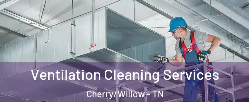 Ventilation Cleaning Services Cherry/Willow - TN