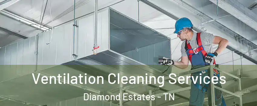 Ventilation Cleaning Services Diamond Estates - TN