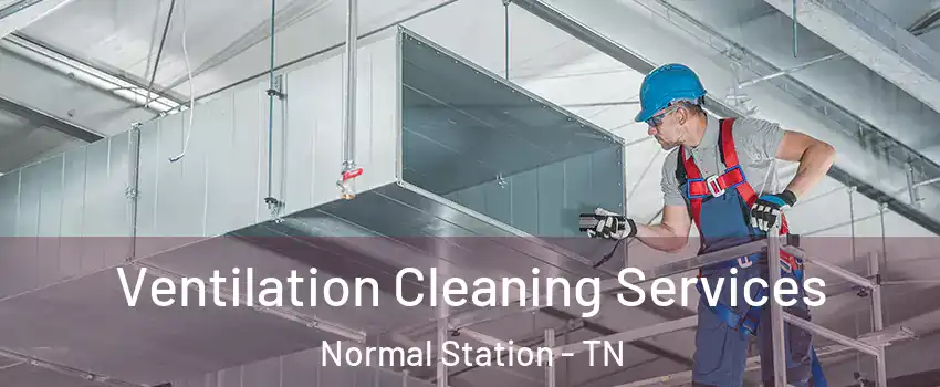 Ventilation Cleaning Services Normal Station - TN