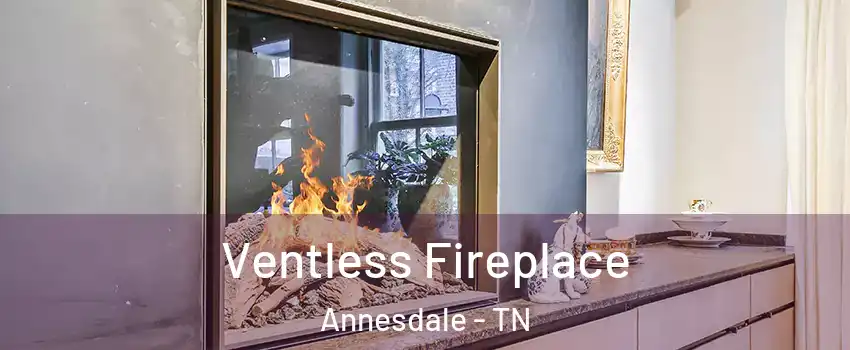 Ventless Fireplace Annesdale - TN