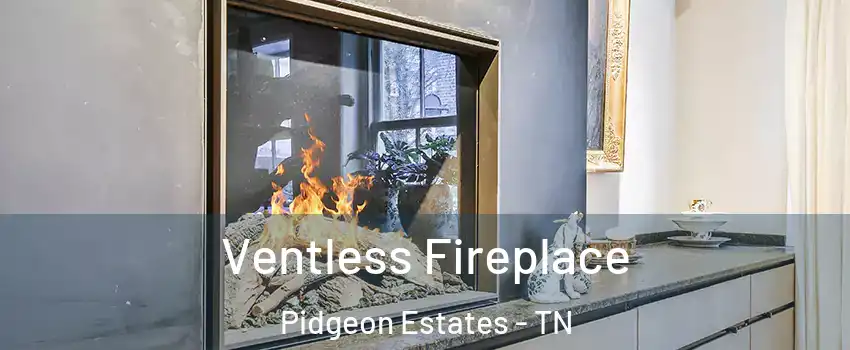 Ventless Fireplace Pidgeon Estates - TN