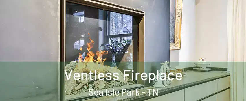 Ventless Fireplace Sea Isle Park - TN