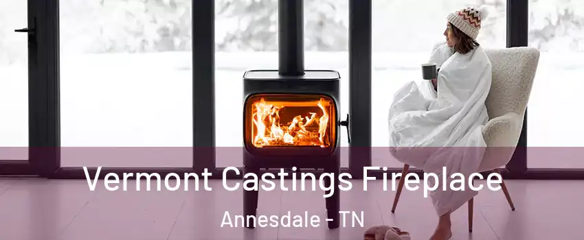 Vermont Castings Fireplace Annesdale - TN