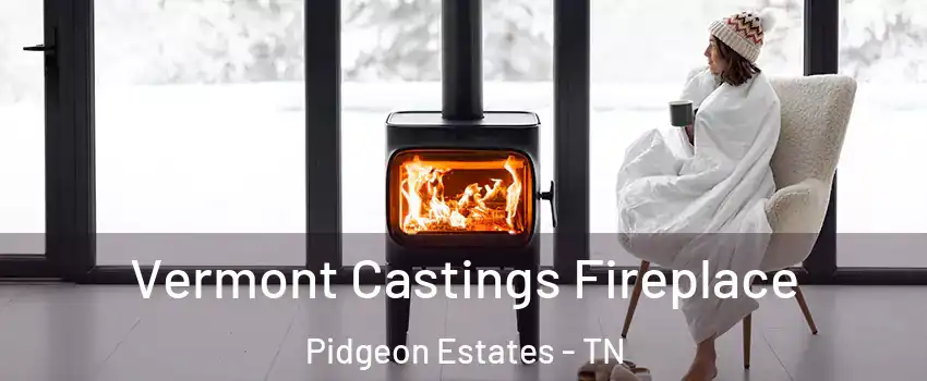 Vermont Castings Fireplace Pidgeon Estates - TN