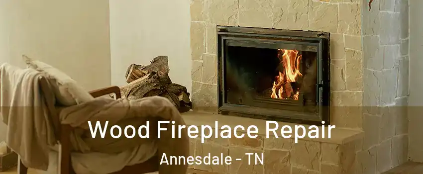 Wood Fireplace Repair Annesdale - TN