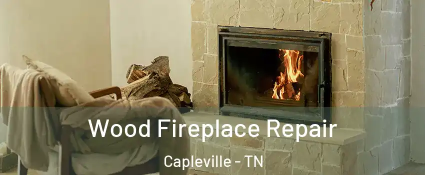 Wood Fireplace Repair Capleville - TN