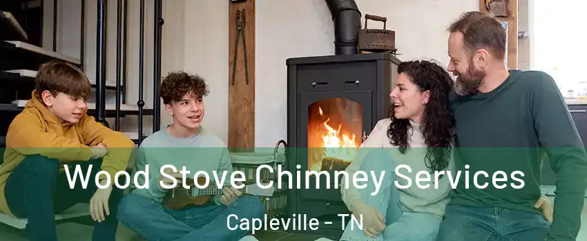 Wood Stove Chimney Services Capleville - TN