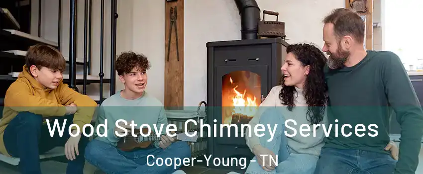 Wood Stove Chimney Services Cooper-Young - TN