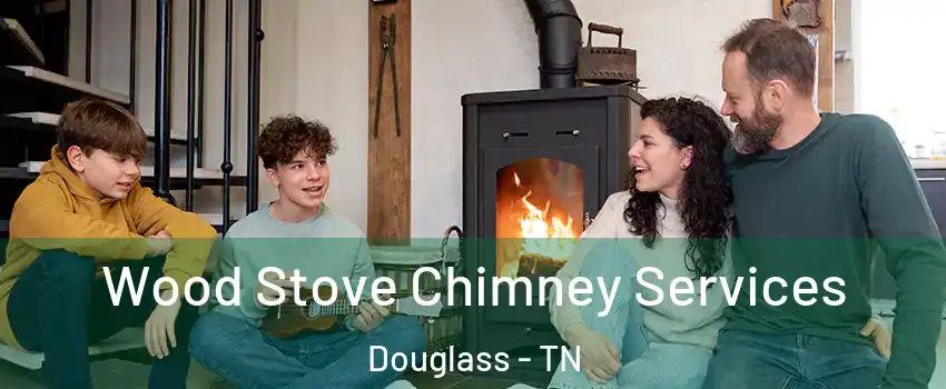 Wood Stove Chimney Services Douglass - TN