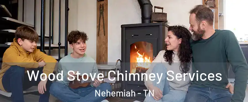 Wood Stove Chimney Services Nehemiah - TN