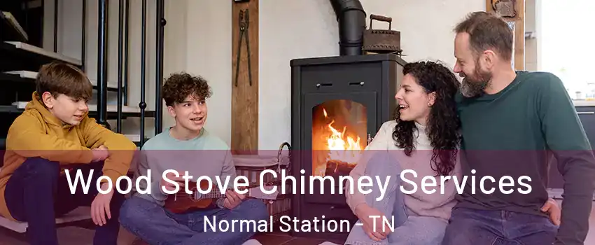 Wood Stove Chimney Services Normal Station - TN