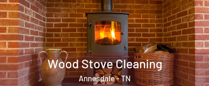 Wood Stove Cleaning Annesdale - TN