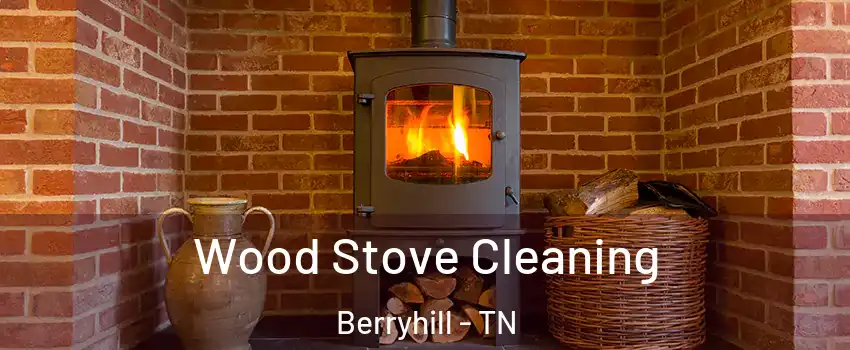 Wood Stove Cleaning Berryhill - TN