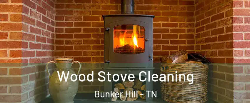 Wood Stove Cleaning Bunker Hill - TN