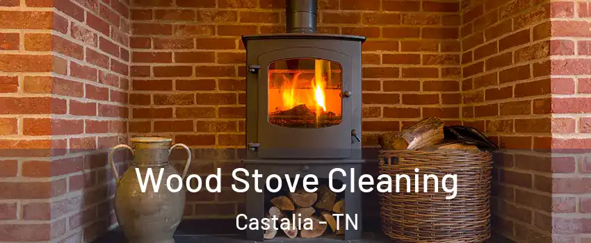 Wood Stove Cleaning Castalia - TN