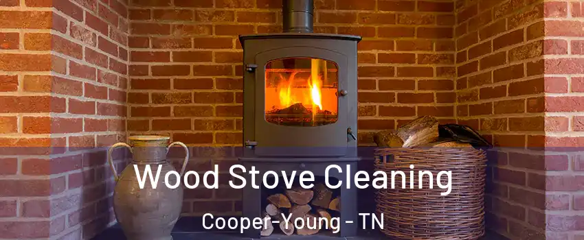 Wood Stove Cleaning Cooper-Young - TN