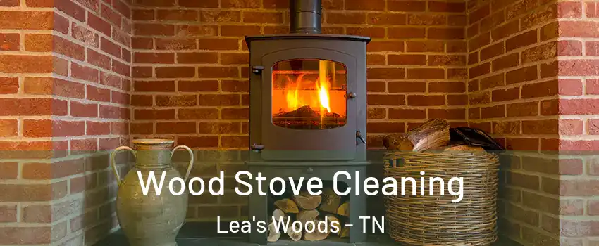 Wood Stove Cleaning Lea's Woods - TN