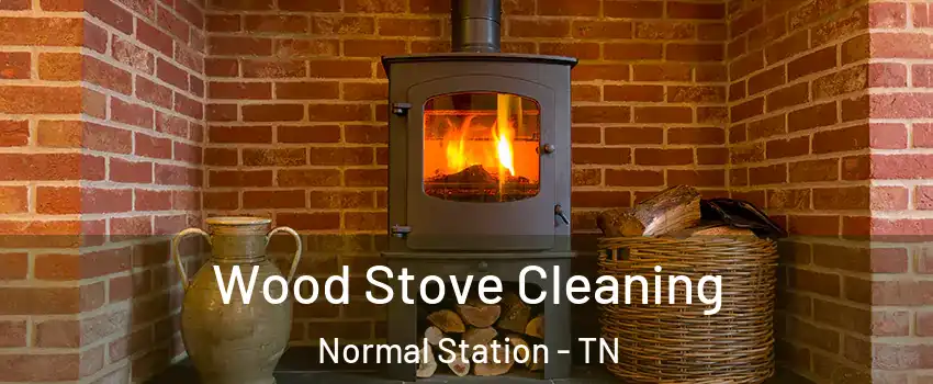 Wood Stove Cleaning Normal Station - TN