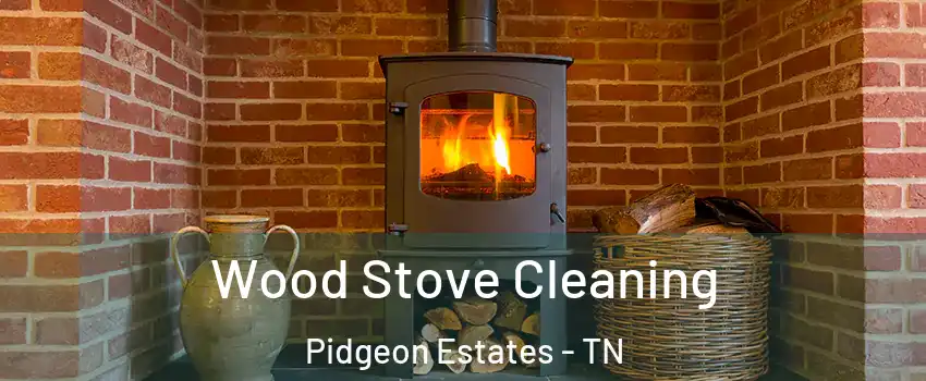 Wood Stove Cleaning Pidgeon Estates - TN