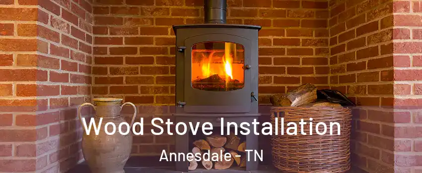 Wood Stove Installation Annesdale - TN