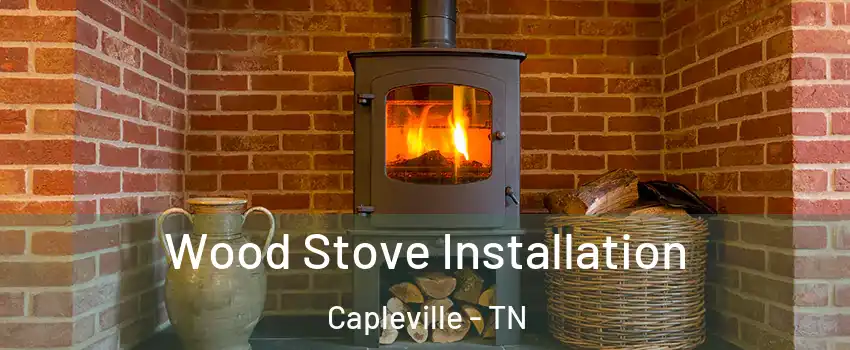 Wood Stove Installation Capleville - TN