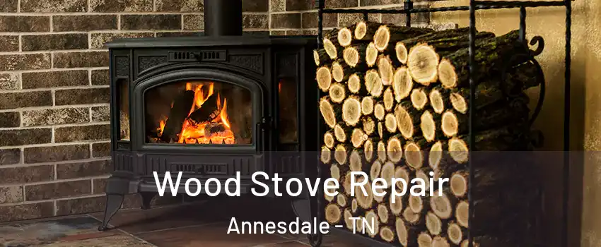 Wood Stove Repair Annesdale - TN