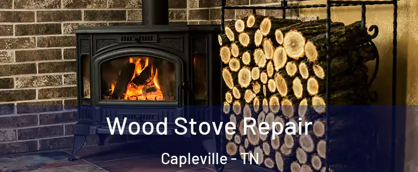 Wood Stove Repair Capleville - TN