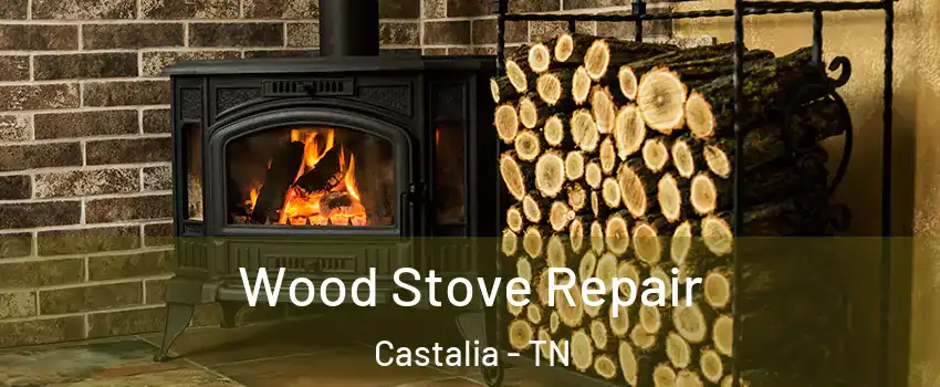 Wood Stove Repair Castalia - TN