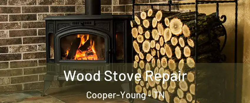 Wood Stove Repair Cooper-Young - TN