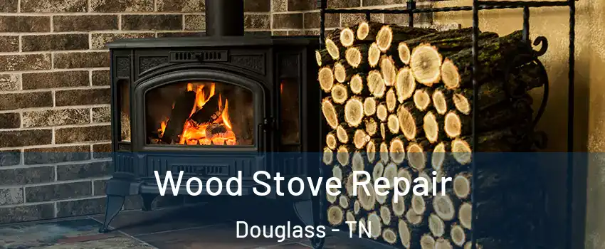 Wood Stove Repair Douglass - TN