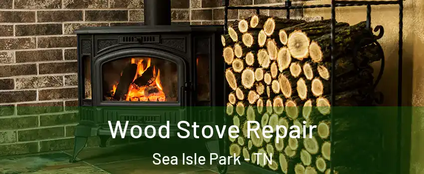 Wood Stove Repair Sea Isle Park - TN